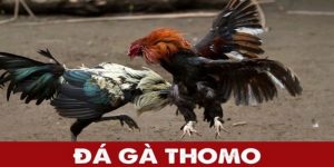 da-ga-don-thomo